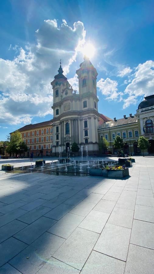 Central Home Apartment In The City Center Eger Buitenkant foto